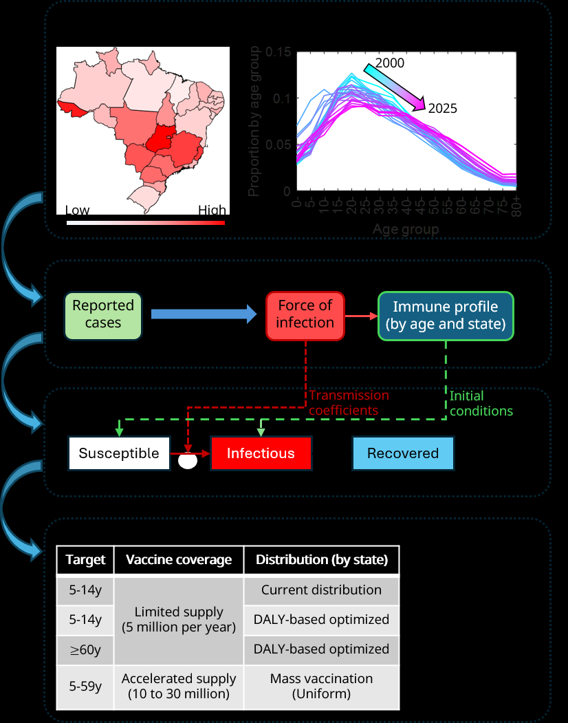Graphical Abstract｜报告病例到感染力、免疫谱、SIR 模型与疫苗情景的全流程示意，论文关键原图
