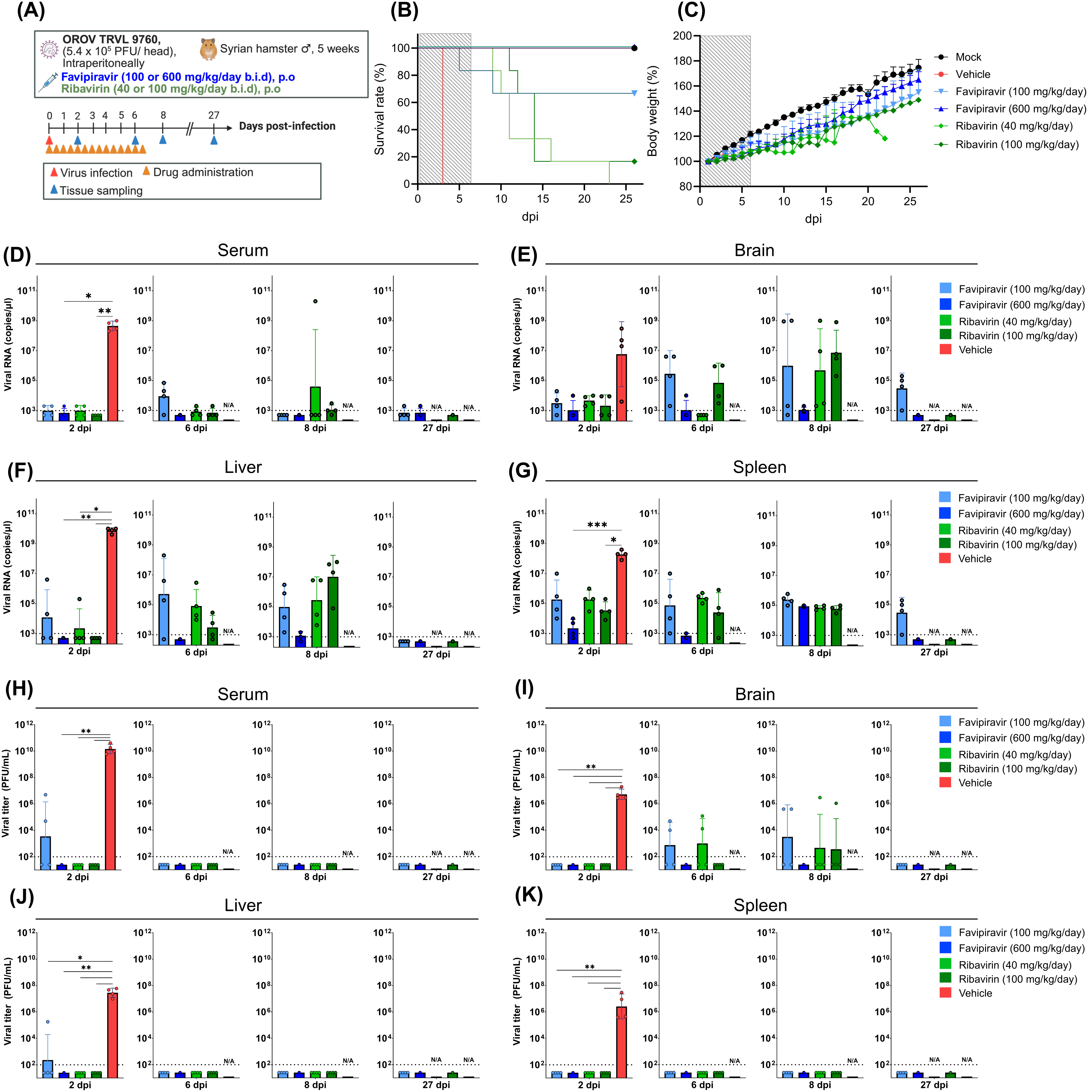 Figure 2｜仓鼠实验：实验设计、存活曲线、体重及血清/脑/肝/脾病毒 RNA 与感染性滴度，论文原图
