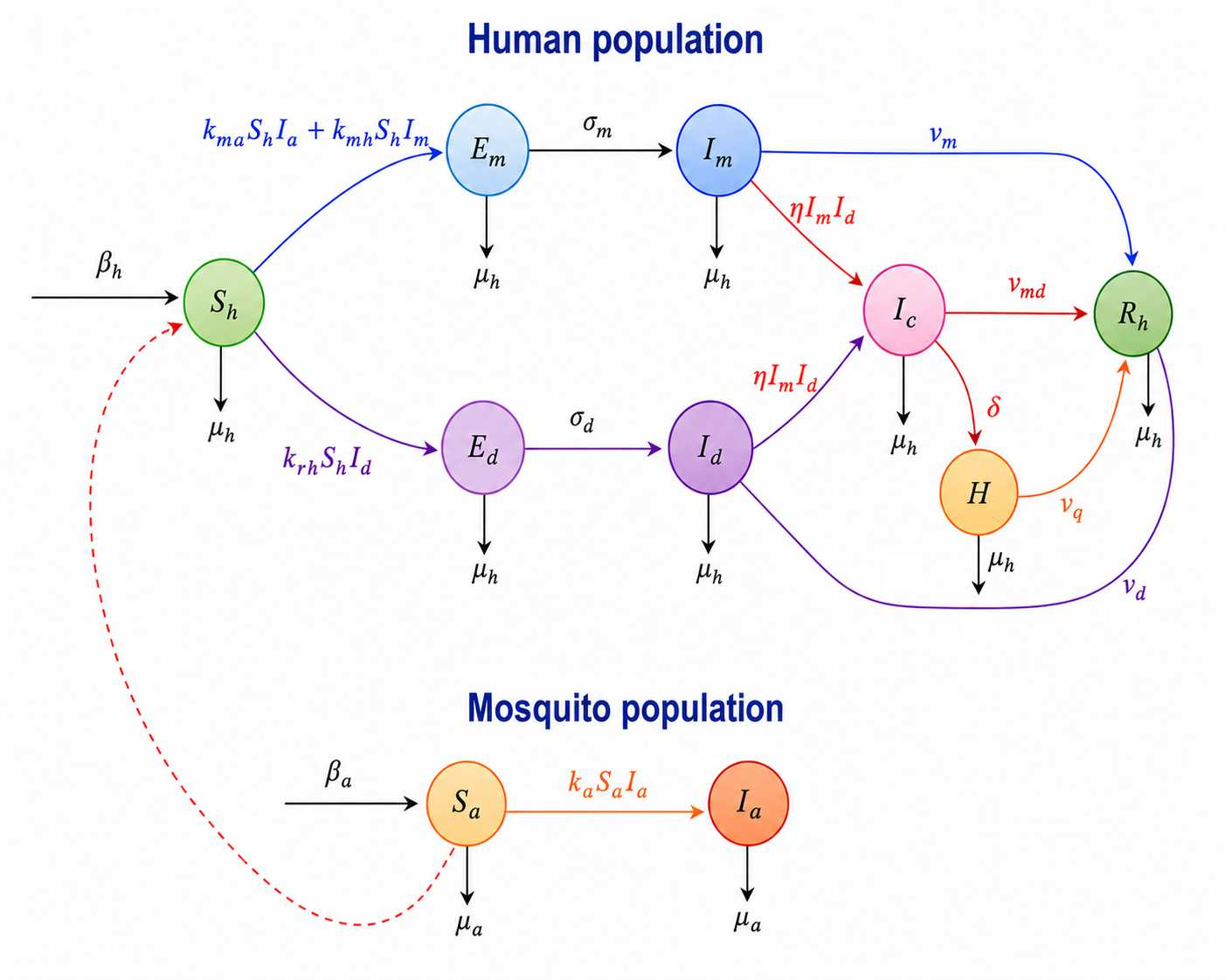 Figure 1｜登革–疟疾混合感染仓室模型流程图：人群 8 仓室与蚊媒 2 仓室的转移关系，论文原图