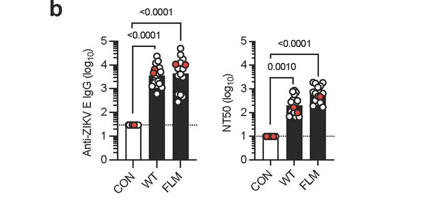 Nature Microbiology Figure 2b 原图，显示 Z-prM/E-WT 与 Z-prM/E-FLM DNA 疫苗组小鼠血清 IgG 滴度与 NT50 中和滴度的分组柱状图