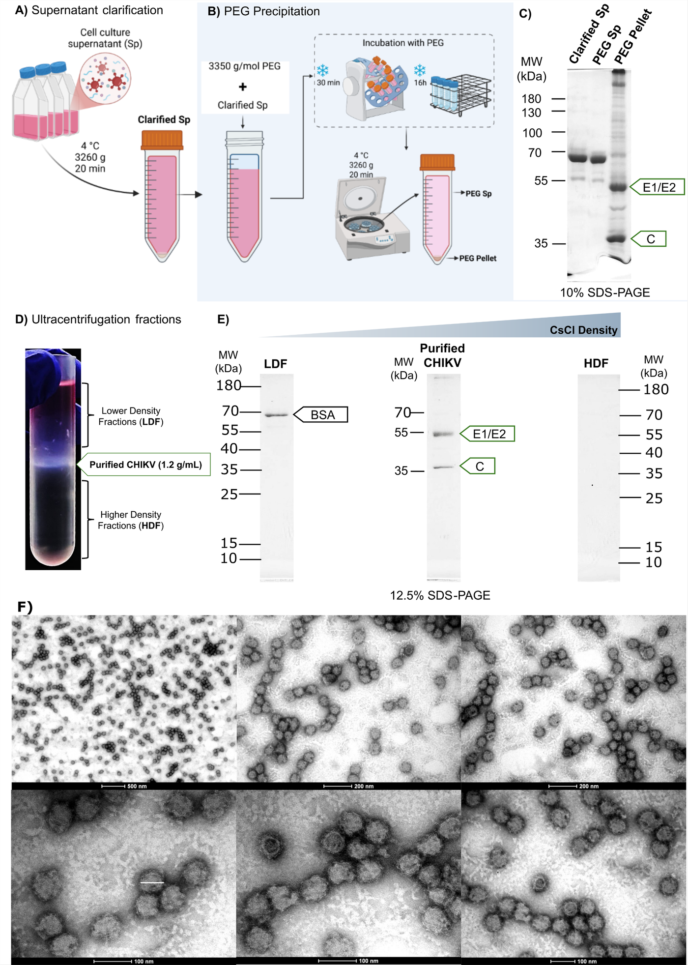 Figure 1｜基孔肯雅病毒纯化流程：上清澄清、PEG 沉淀、SDS-PAGE、CsCl 超速离心分层、纯化组分电泳与负染 TEM，论文原图