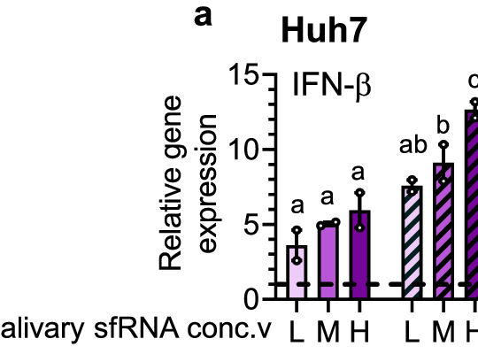 Nature Communications Figure 4a 原图，显示不同 sfRNA 剂量唾液感染 Huh7 细胞后 24h 与 48h 的 IFN-β 相对表达分组柱状图