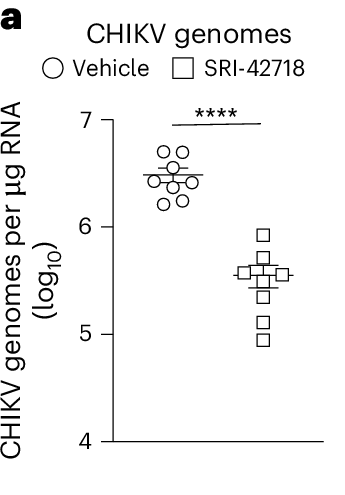 Nature Microbiology Figure 6a 原图，显示 Vehicle 与 SRI-42718 组的关节组织基孔肯雅病毒载量